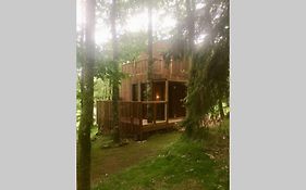 Adorable Cabane Dans Un Espace Boise